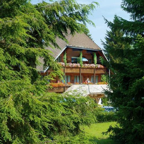 Hotel Garni Seebachstueble Titisee-Neustadt Kültér fotó